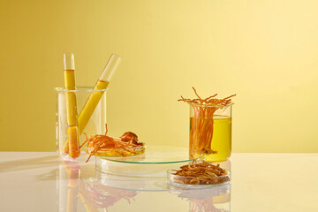Minimalist empty display product presentation scene with cordyceps. On the yellow background, lab equipment containing Cordyceps militaris and yellow liquid, blank space to place mockup