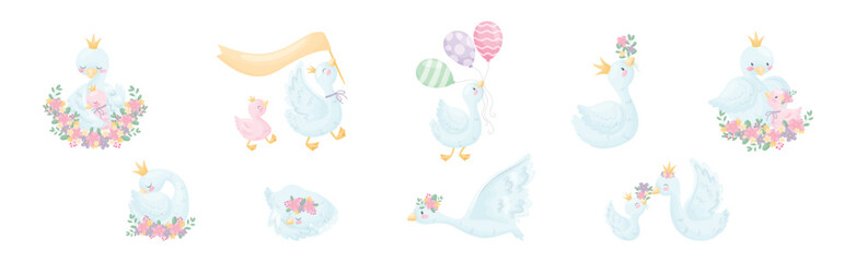 Beautiful White Swan or Goose with Golden Crown and Floral Arrangement Vector Set