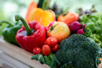 Crate filled with a large selection of healthy fresh organic fruits and vegetables shot.