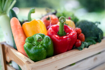 Crate filled with a large selection of healthy fresh organic fruits and vegetables shot.