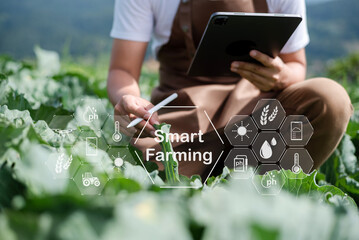 Agricultural technology farmer man using tablet computer analyzing data and morning image icon.