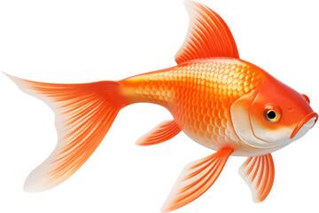 goldfish figure body style white background.
