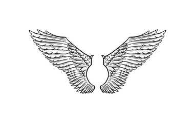 Set of Angel wings in vintage style. Template for tattoo and emblems, t-shirts and logo. Emblem for stickers. Engraved sketch. Vector illustration.