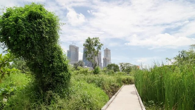 Benchakitti Park in Bangkok. Nearby, the skyscrapers of the business district are visible. A place of relaxation for residents, with a path around green areas. Skyscrapers, Urban park, Cityscape.