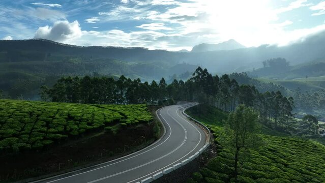 Hill station Munnar Tea estate Road Munnar Kerala India 