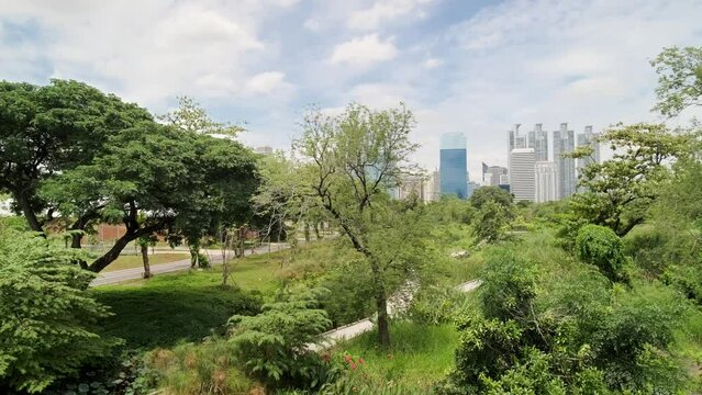 Benchakitti Park in Bangkok. Nearby, the skyscrapers of the business district are visible. A place of relaxation for residents, with a path around green areas. Skyscrapers, Urban park, Cityscape.