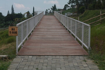 wooden bridge in the forest