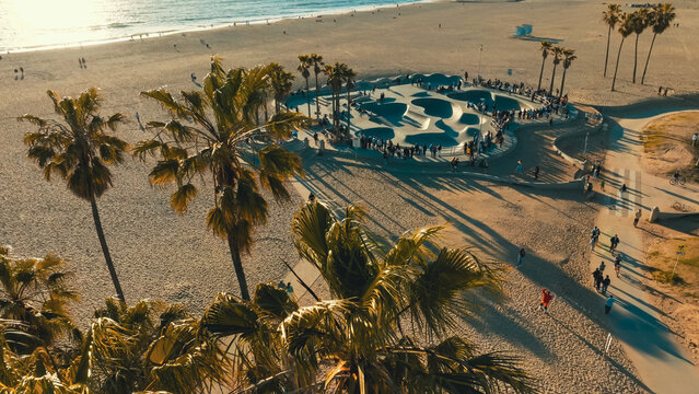 Skateboarders enjoying the sunset at a popular beach skate park surrounded by palm trees in Venice Beach, California during a vibrant evening