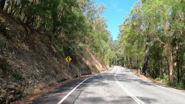 Scenic Footage of Driving on Country Road, Springbrook, Gold Coast, QLD, Australia