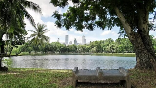 Lumpini Park in Bangkok. Beautiful sunny weather, a place of relaxation for city residents. Urban, Recreation, Nature, Leisure, Tranquil, City Park, Outdoor, Public spaces, Family-friendly, Cultural