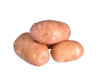 Young pink American potato variety isolated on transparent background. High quality photo