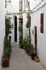 Fototapeta na wymiar Ruelle de la kasbah de Tanger