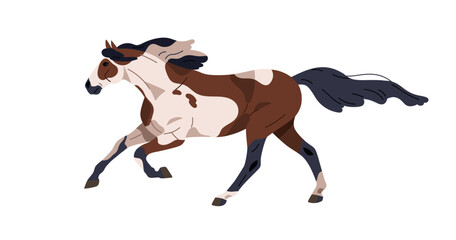 Horse running, gallop trait. Wild spotted stallion of piebald breed, moving at fast speed. Racehorse profile, side view. Steed with mane and tail. Flat vector illustration isolated on white background