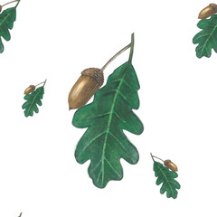 Watercolor illustration of an acorn with a leaf, seamless pattern isolated on a transparent background