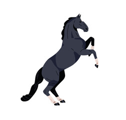 Horse in rearing pose, standing up on hind legs. Wild stallion, beautiful mustang in gorgeous position. Steed in motion, side view, profile. Flat vector illustration isolated on white background
