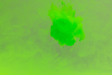 Close up of green in water with copy space on green background