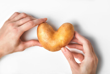 Hands holding heart-shaped potato above white background. Ugly food, funny vegetable concept....