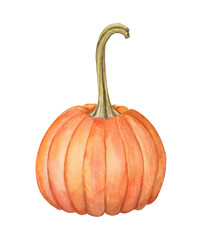 Watercolor hand drawn illustration with pumpkin. Drawing for autumn design