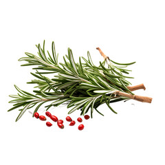 rosemary and pepper on white background