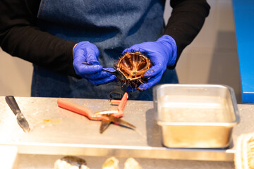 Cleaning a sea urchin and oysters at a food market