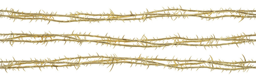Fototapeta premium 3D artwork of the thorns worn by Jesus. This piece will be used for designing modern visual art publications related to Christianity, the suffering of Christ, and religious t