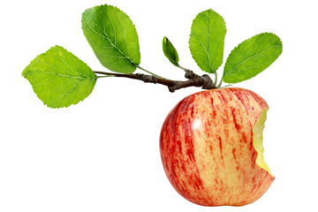 Red and Yellow Apple with Bite on Transparent PNG Background