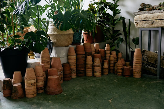 A combination of floor plants and flowerpots in a flower shop interior