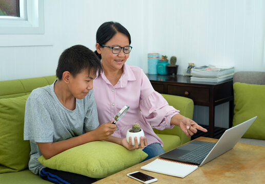 Asian Teenage Boy One Hand Holding Little Pot Of Cactus And Other Hand Holding Magnifying Glass And His Mother Pointing On Laptop, Happy Family,son Doing School Science Project Together With Mother 