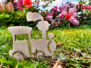 flowers in the garden