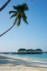 Beautiful beaches in the Maldives - 628014214