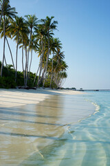 Maldives beaches  - 628014261
