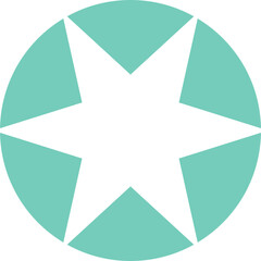Geometric Y2K ornament star symbol