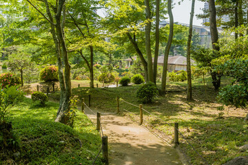 Concrete trail through Japanese garden.