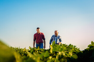 Two farmers walking in a field examining soy crop.