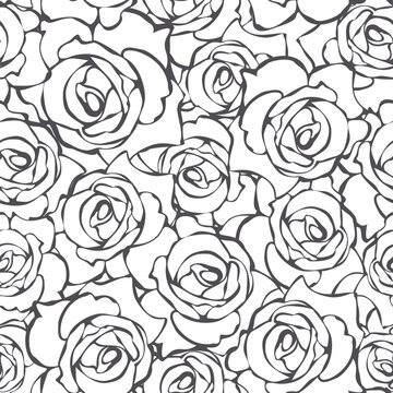 Floral pattern with rose flowers contours. Black and white seamless background. Vector modern print