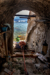 scilla