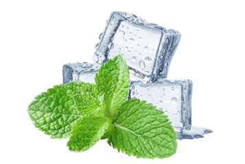 Ice cubes and mint leaves, cut out © Yeti Studio