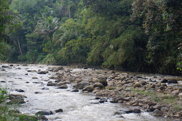Stony Ciwulan river in a lush green jungle located in Tasikmalaya, West Java