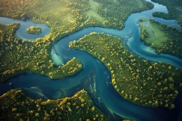 Foto op Plexiglas aerial view of a meandering river delta © Natalia