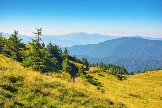 carpathian mountain ridge in summer. steep forested slopes. bright sunny weather. popular travel destination of ukraine