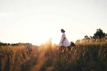 Young woman in white dress is walking with goats on the meadow at sunset. Attractive female farmer feeding her goats on her small business organic farm