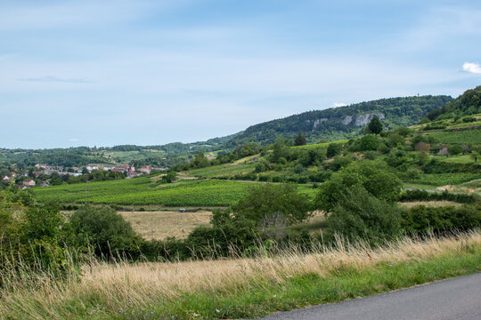 Vue de Poligny depuis le vignoble qui entoure la ville