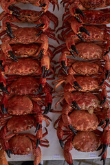 lobster on table