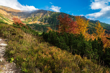 Autumn in Jamnicka dolina valley in Western Tatras mountains in Slovakia © honza28683