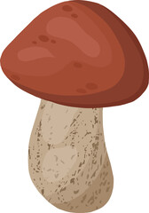 Illustration of mushroom
