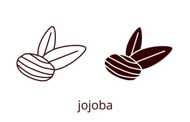 Jojoba icon, line editable stroke and silhouette