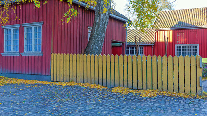 Picked Yellow Fence Norway