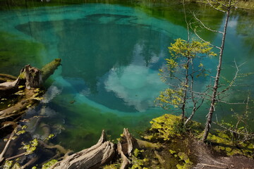 Fototapeta premium Geyser lake near Aktash village in Altai.