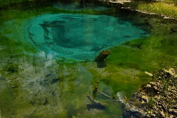 Geyser lake near Aktash village in Altai.