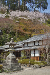 善峯寺の釈迦堂と燈篭